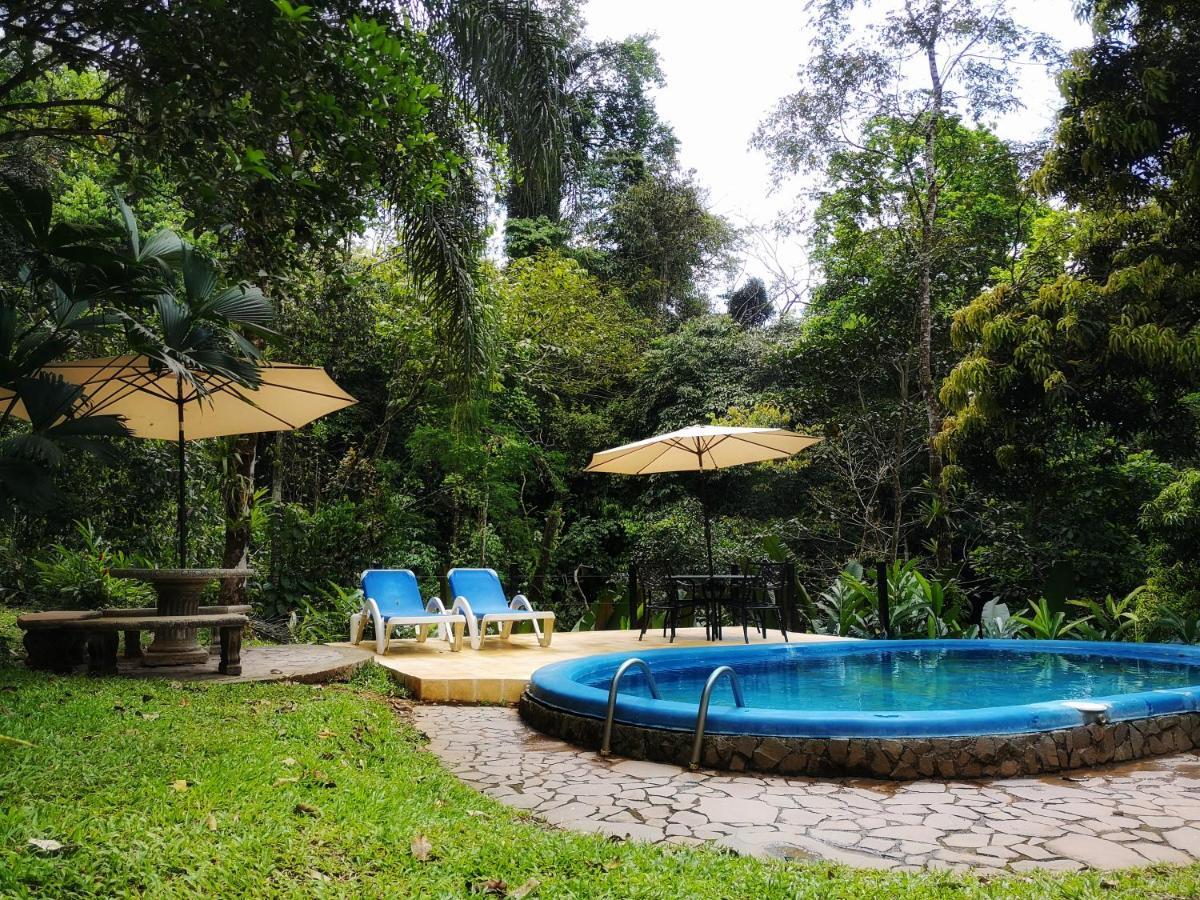 Casa Cedro - Portasol Vacation Rentals Matapalo  Exterior photo